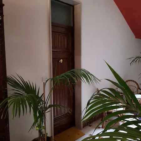Guest house Rosa Fiorita